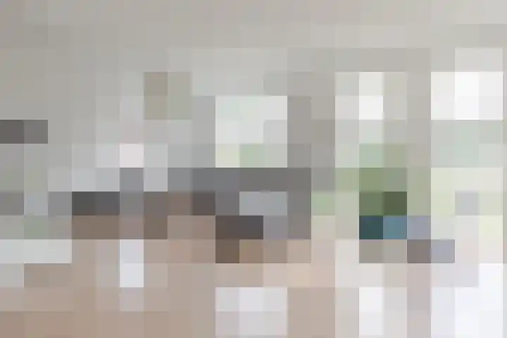 De Jister 15 Heeg thumbnail 8