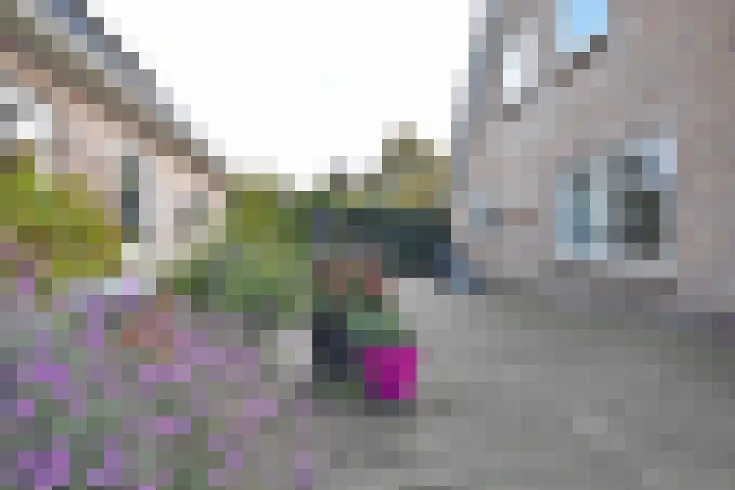 De Jister 27 Tytsjerk thumbnail 15