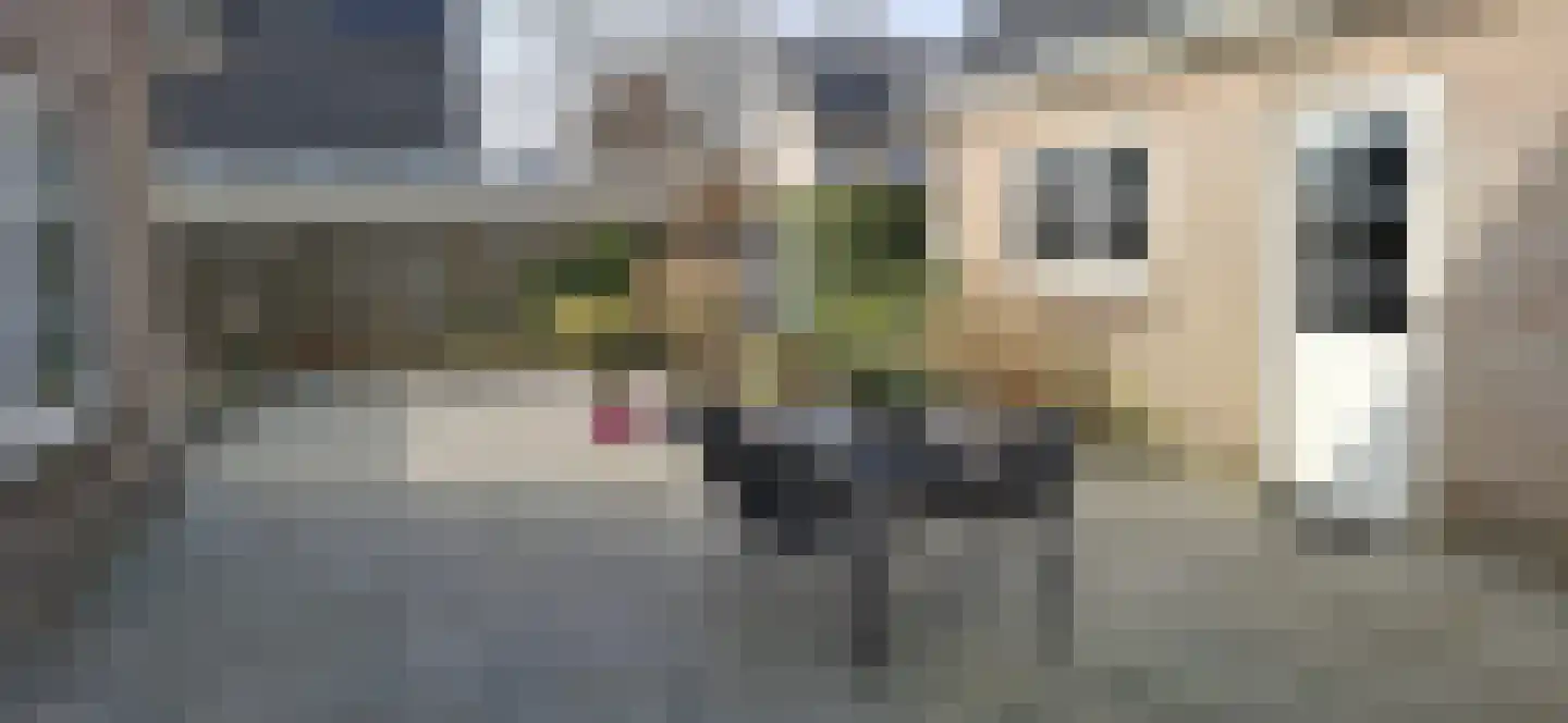 De Jister 27 Tytsjerk thumbnail 16