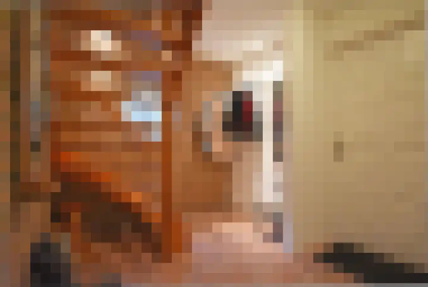 De Jister 27 Tytsjerk thumbnail 23