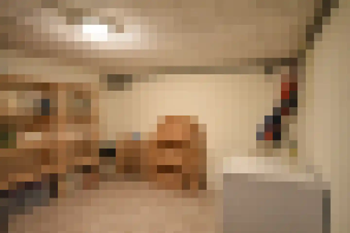 De Jister 27 Tytsjerk thumbnail 38