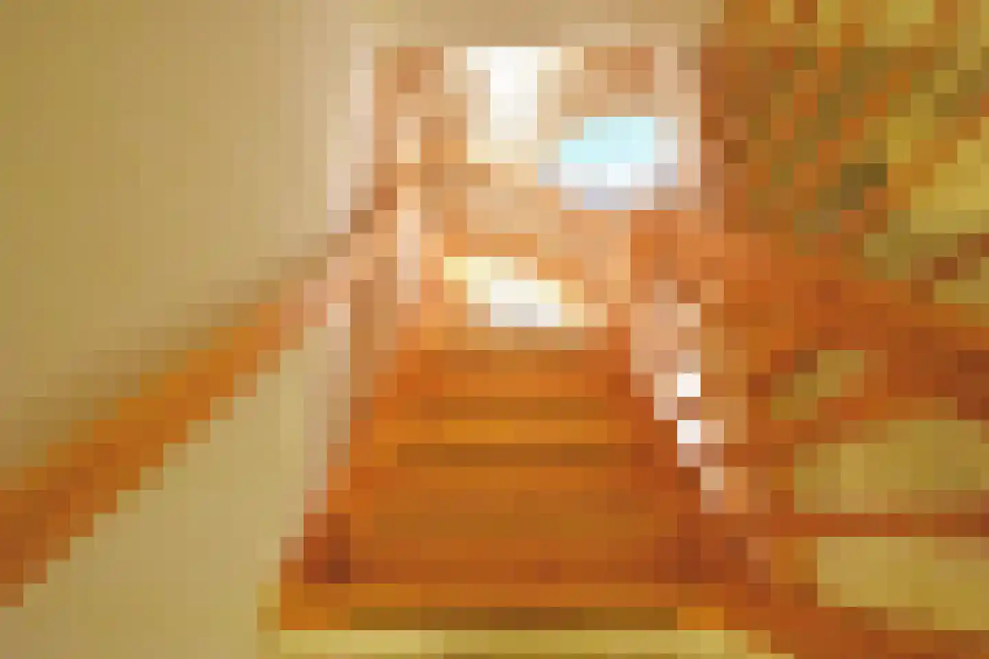 De Jister 27 Tytsjerk thumbnail 46