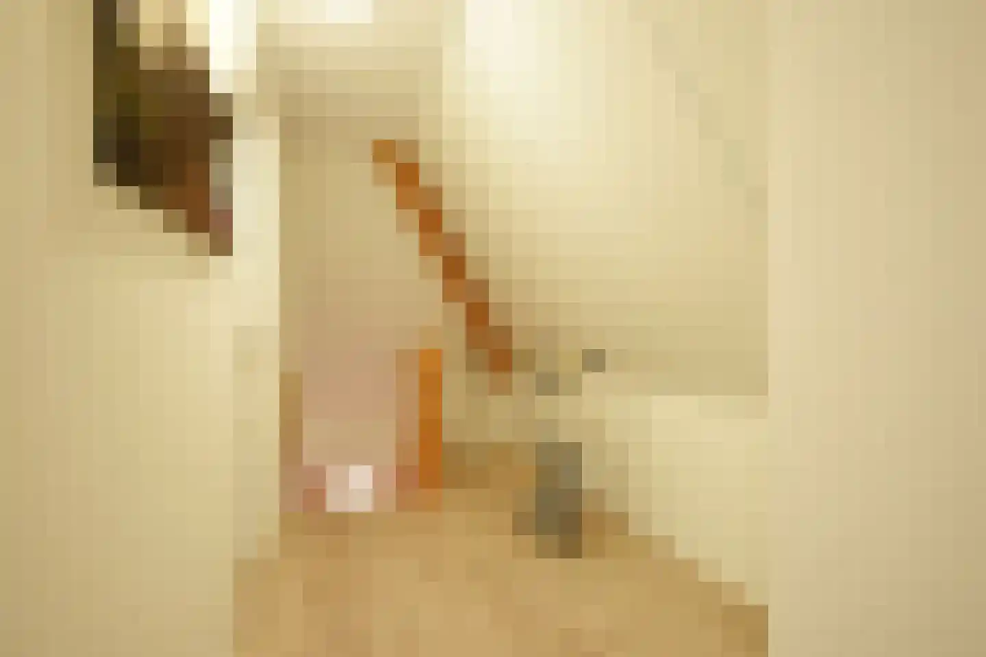 De Jister 27 Tytsjerk thumbnail 47
