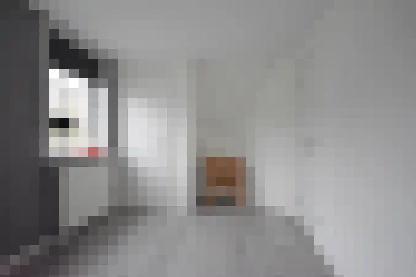 De Jister 27 Tytsjerk thumbnail 55