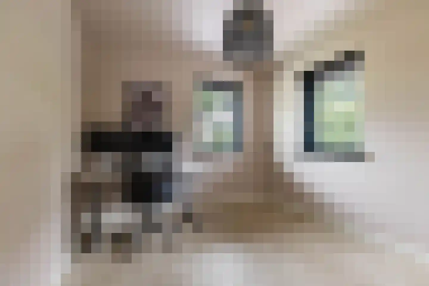 De Jister 30 Sumar thumbnail 12