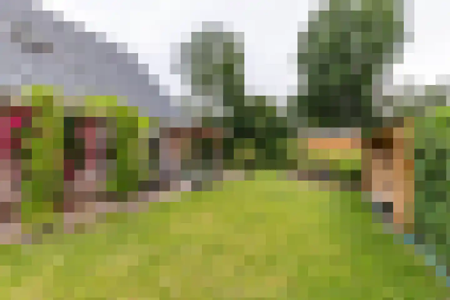 De Jister 30 Sumar thumbnail 34