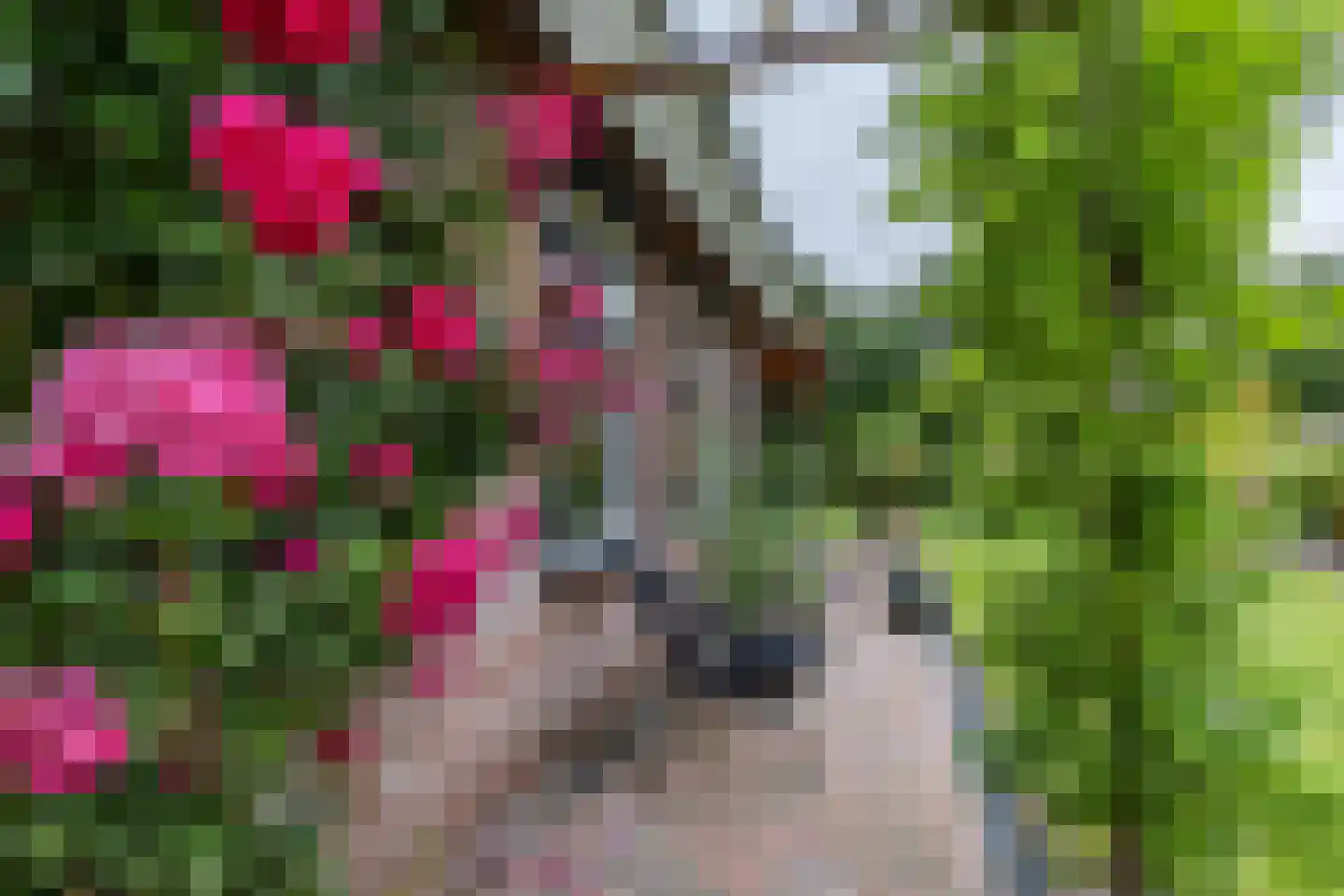 De Jister 30 Sumar thumbnail 35