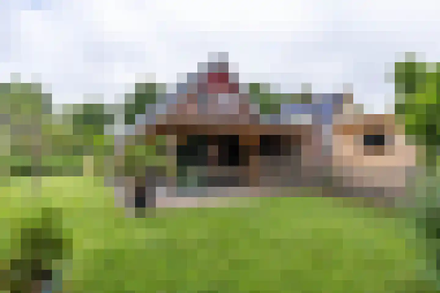 De Jister 30 Sumar thumbnail 40