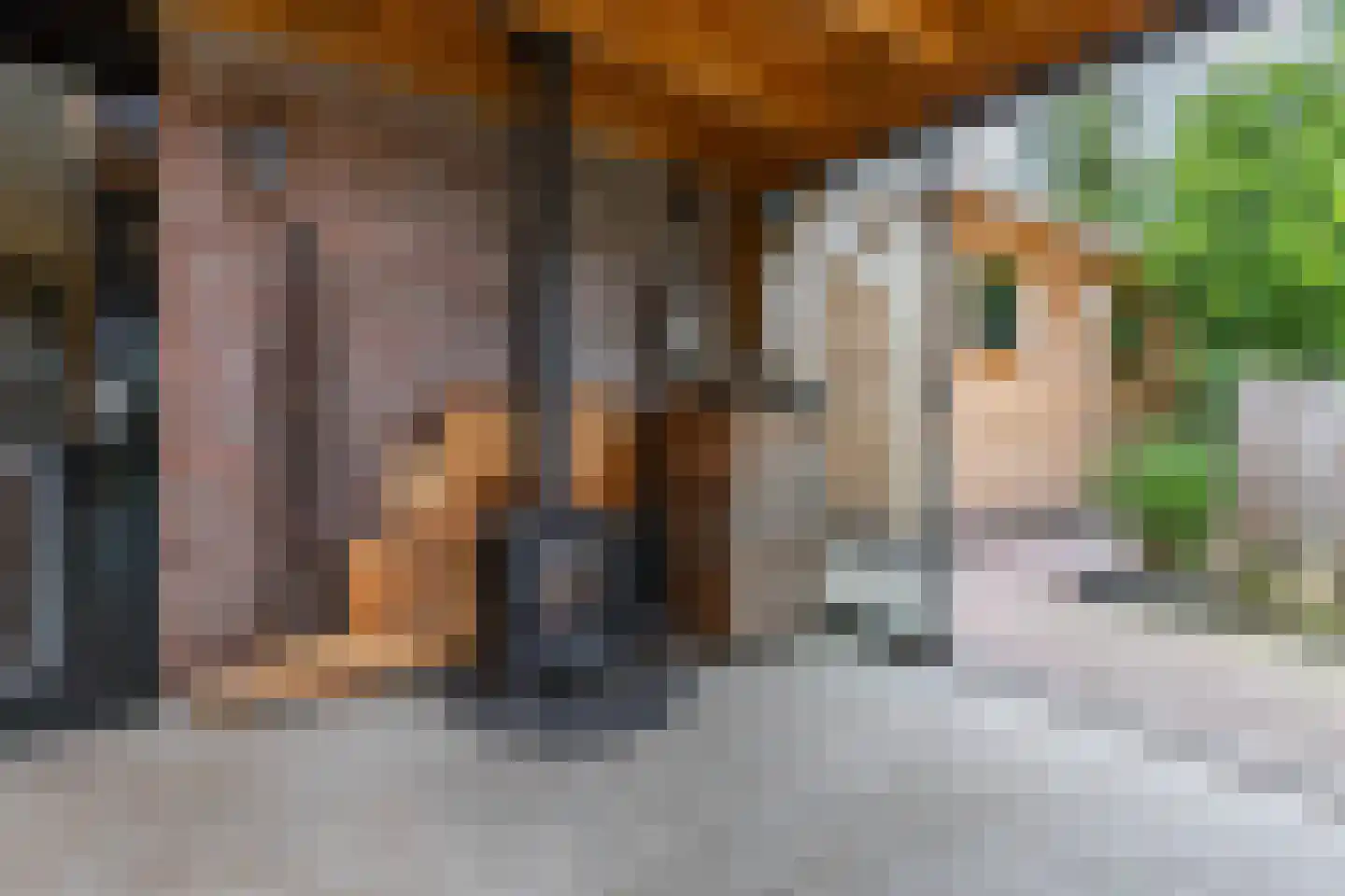 De Jister 30 Sumar thumbnail 44