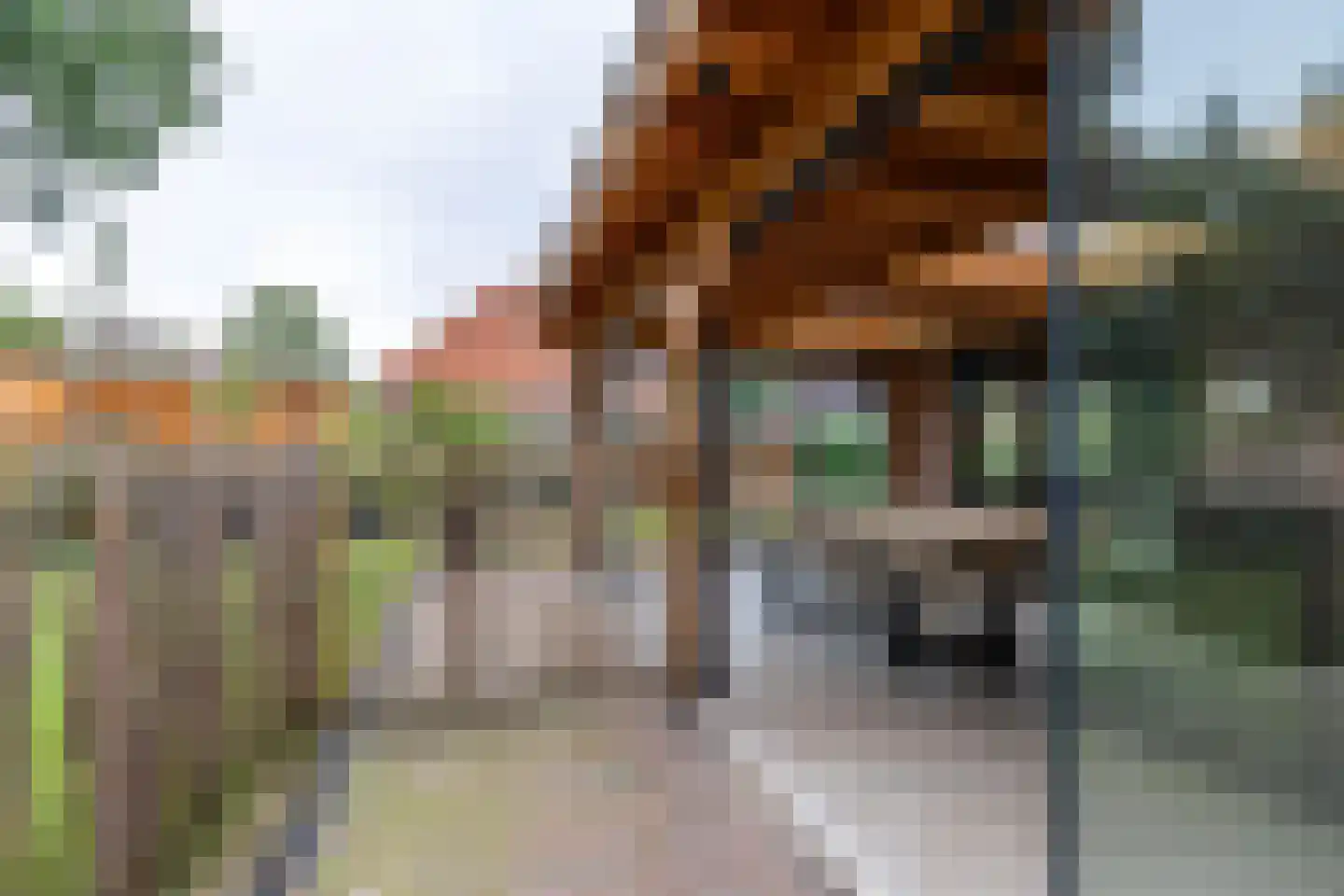 De Jister 30 Sumar thumbnail 46