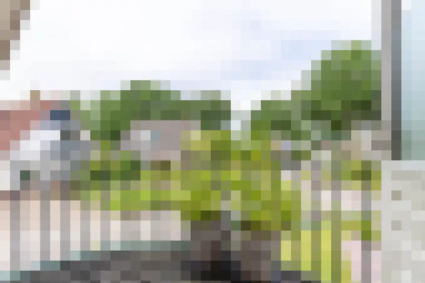 De Jister 30 Sumar thumbnail 52