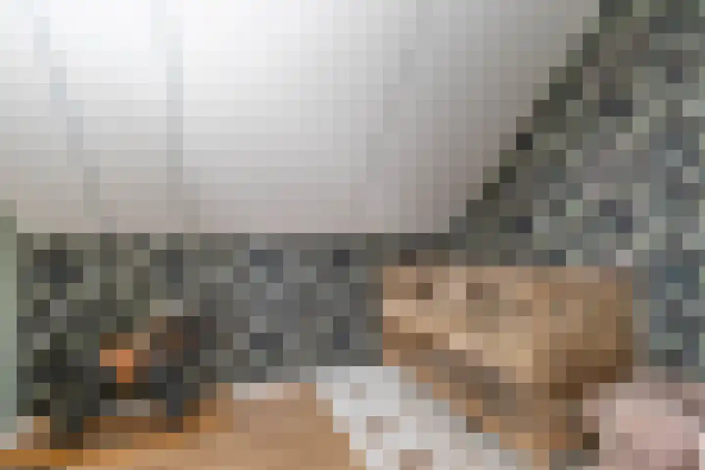 De Jister 30 Sumar thumbnail 58