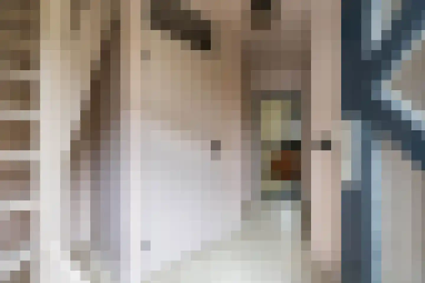 De Jister 30 Sumar thumbnail 8