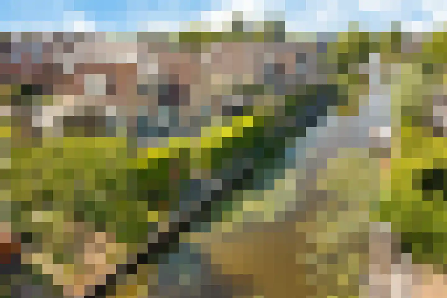 De Jister 4 Mantgum