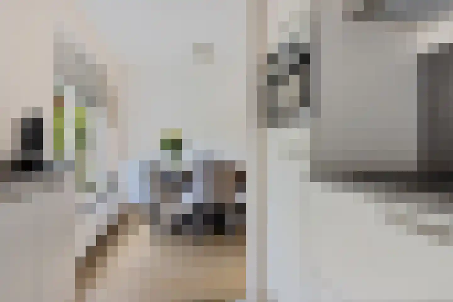 De Jister 4 Mantgum thumbnail 13