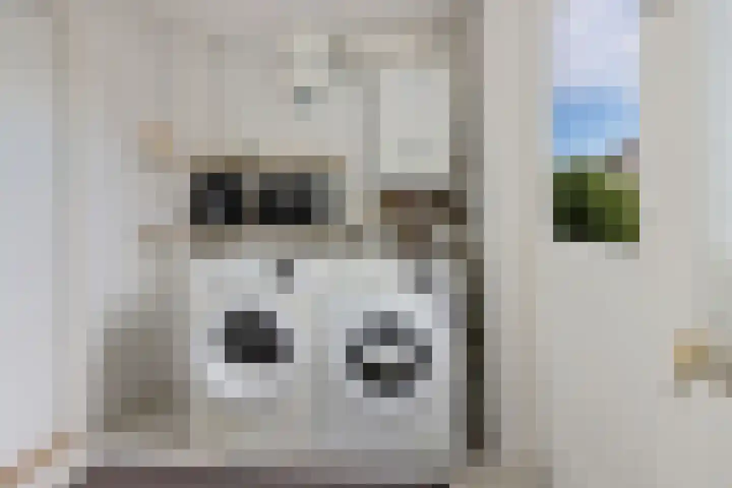 De Jister 4 Mantgum thumbnail 14