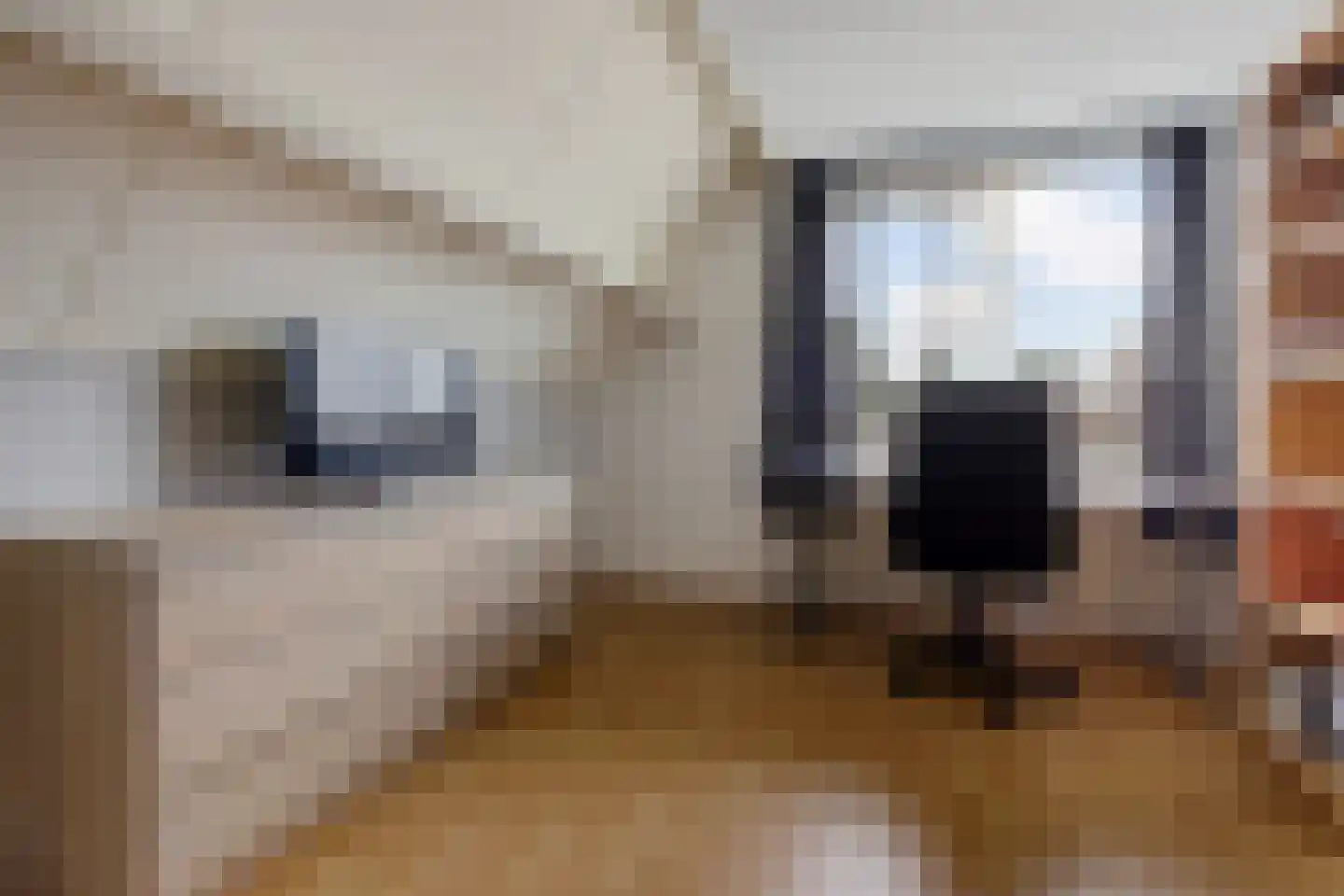 De Jister 4 Mantgum thumbnail 24