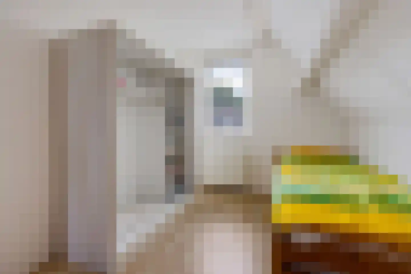 De Jister 4 Mantgum thumbnail 25