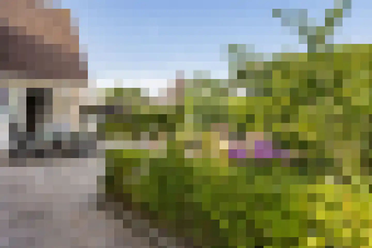De Jister 4 Mantgum thumbnail 38