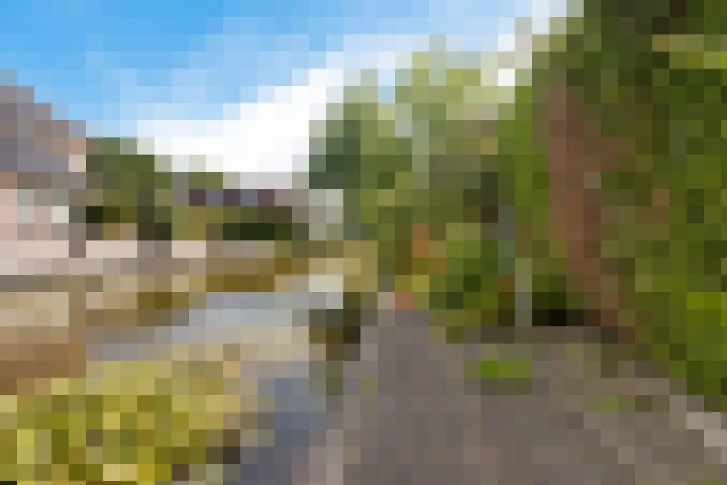 De Jister 4 Mantgum thumbnail 39