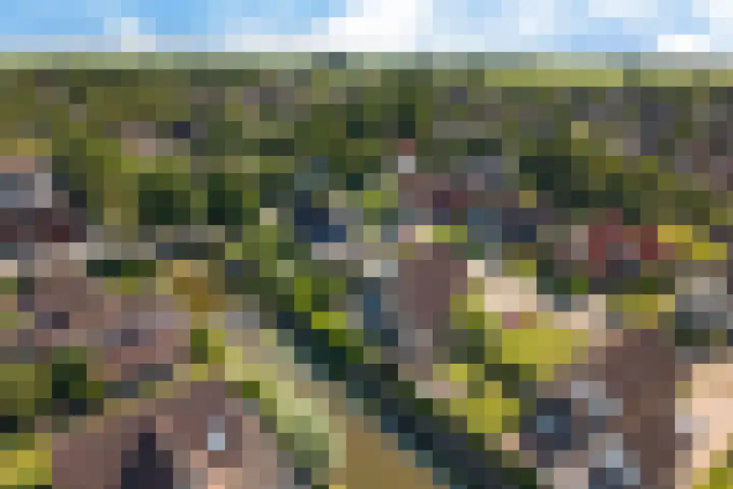 De Jister 4 Mantgum thumbnail 40