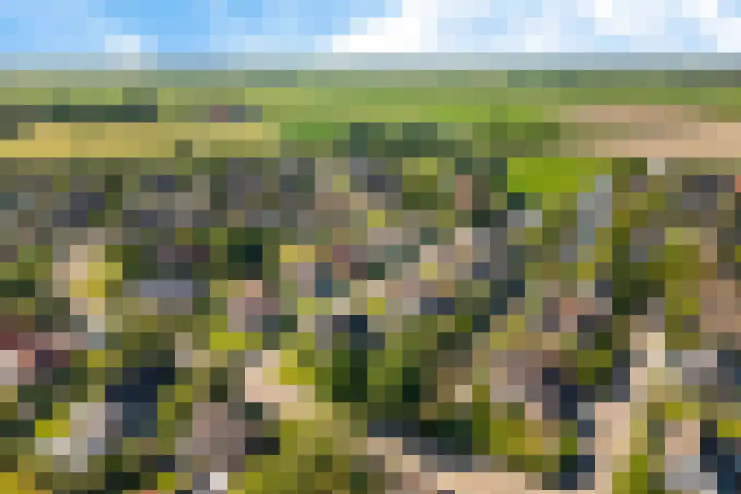 De Jister 4 Mantgum thumbnail 41