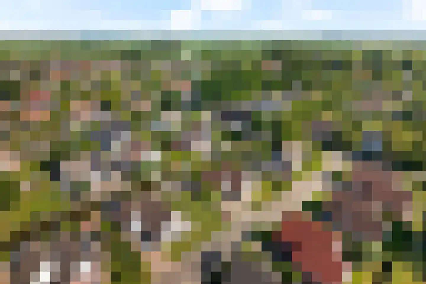 De Jister 4 Mantgum thumbnail 43