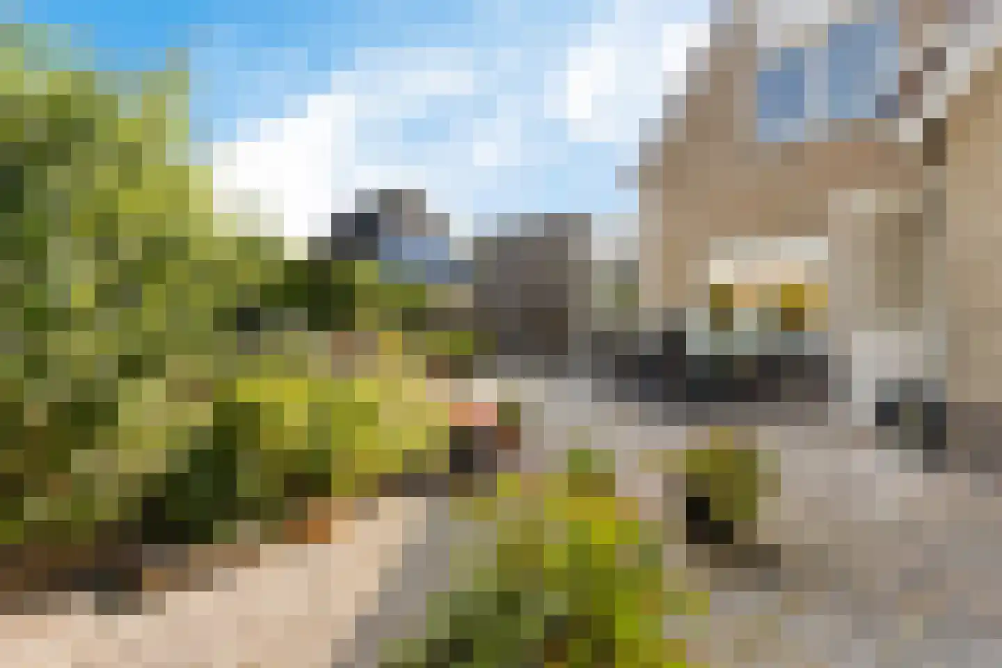 De Jister 4 Mantgum thumbnail 5