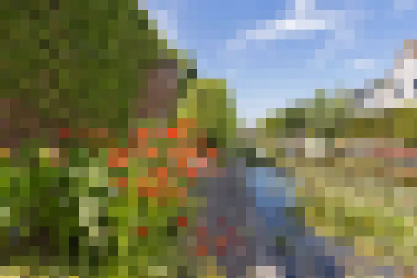 De Jister 4 Mantgum thumbnail 6