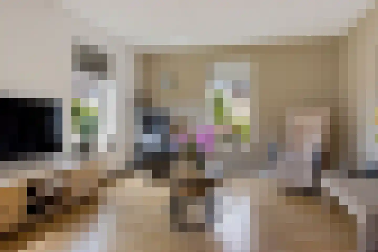 De Jister 4 Mantgum thumbnail 7