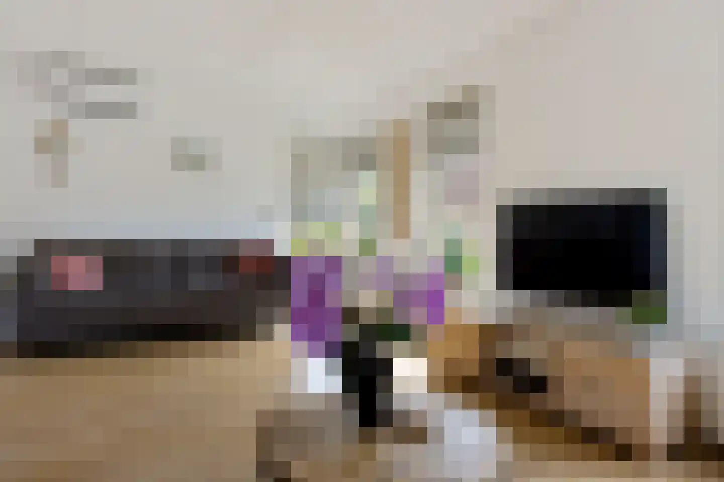 De Jister 4 Mantgum thumbnail 8