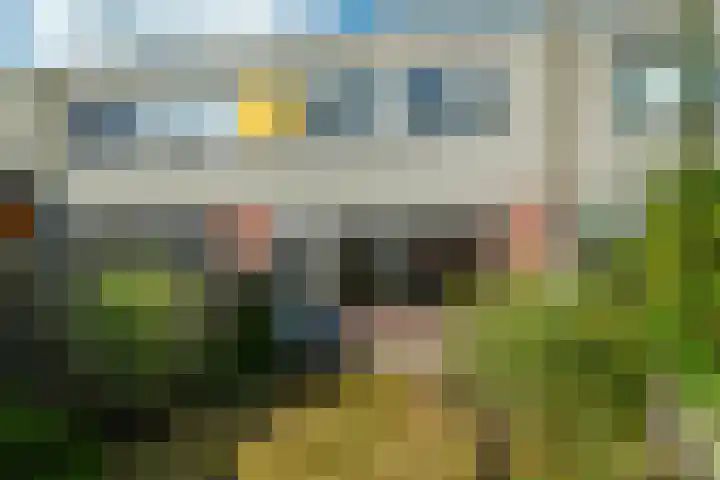 de Jokse 145 Leeuwarden thumbnail 15