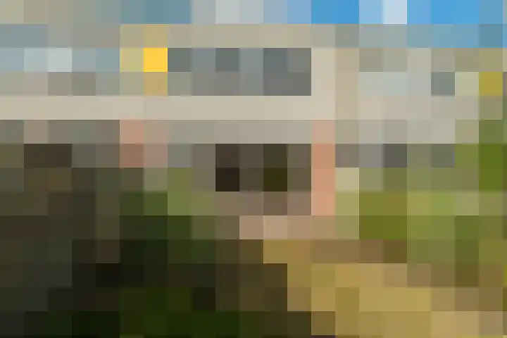de Jokse 145 Leeuwarden thumbnail 17
