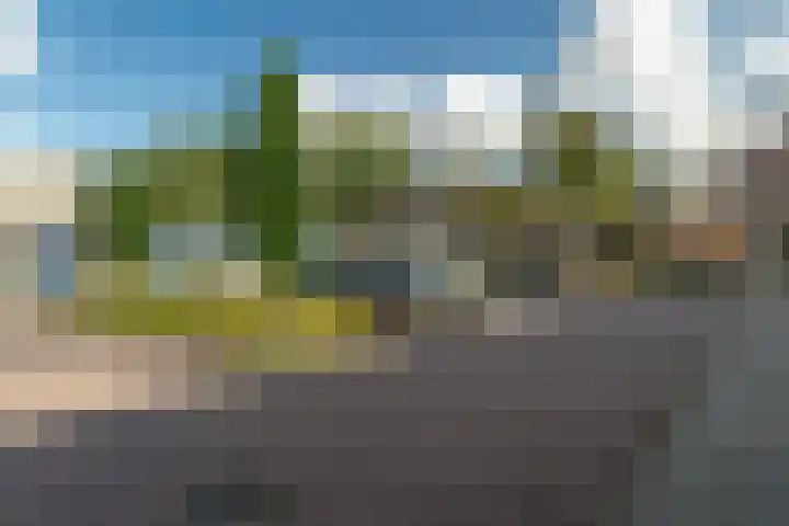 de Jokse 145 Leeuwarden thumbnail 30
