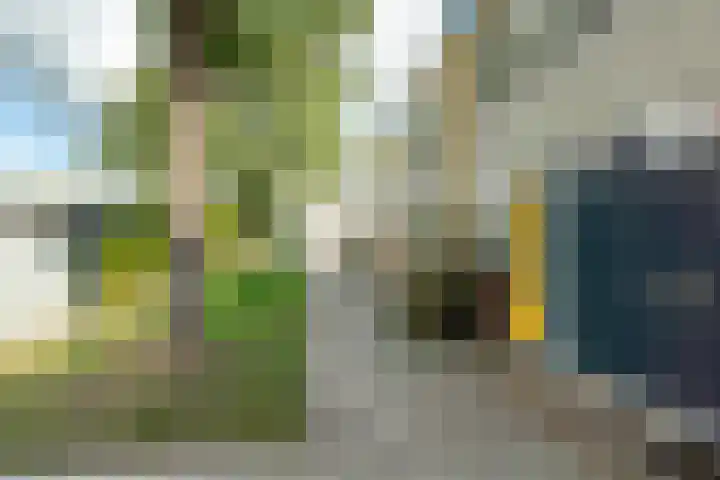 de Jokse 145 Leeuwarden thumbnail 31