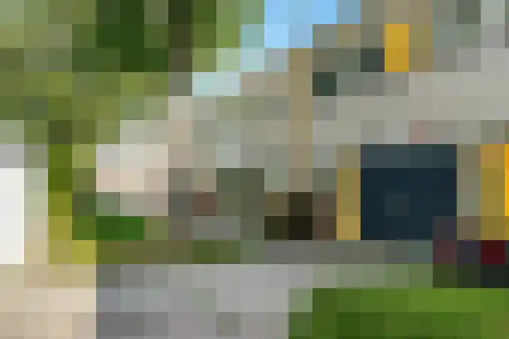 de Jokse 145 Leeuwarden thumbnail 33