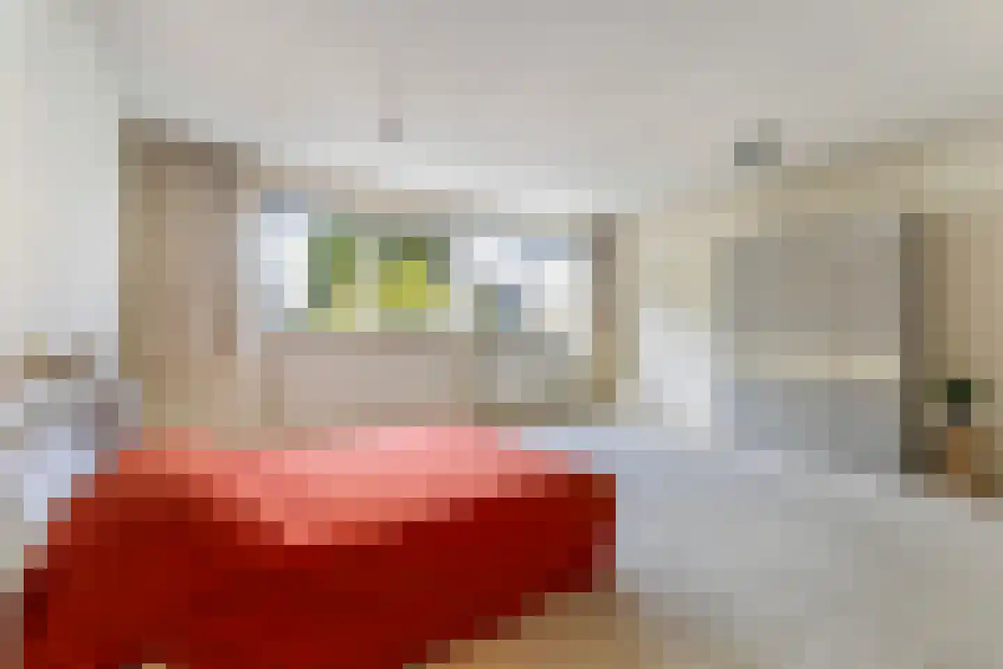 de Jokse 15 Leeuwarden thumbnail 21
