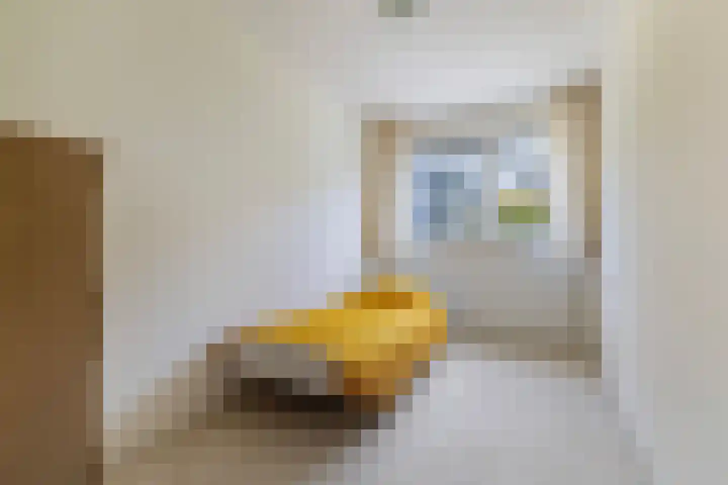 de Jokse 15 Leeuwarden thumbnail 26