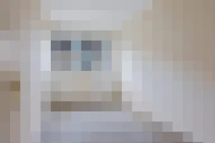 de Jokse 27 Leeuwarden thumbnail 17