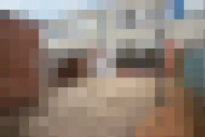 de Jokse 27 Leeuwarden thumbnail 27