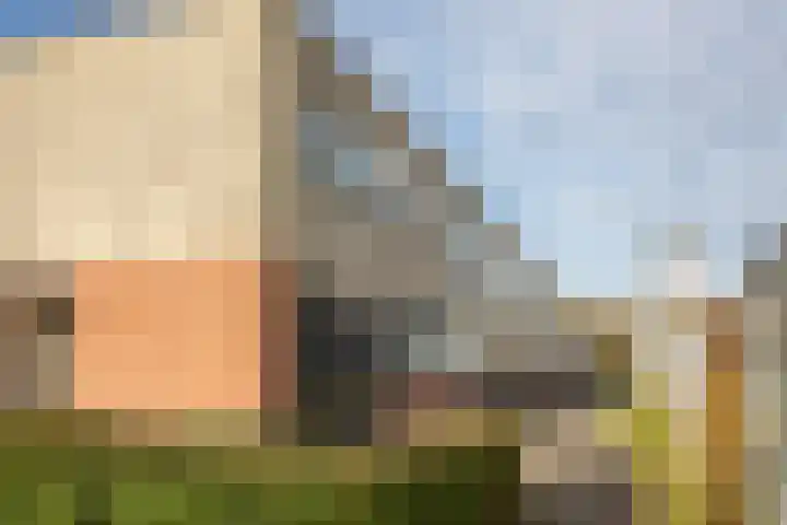 de Jokse 27 Leeuwarden thumbnail 4