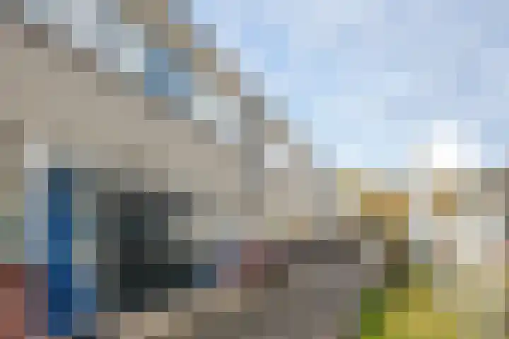 de Jokse 27 Leeuwarden thumbnail 5