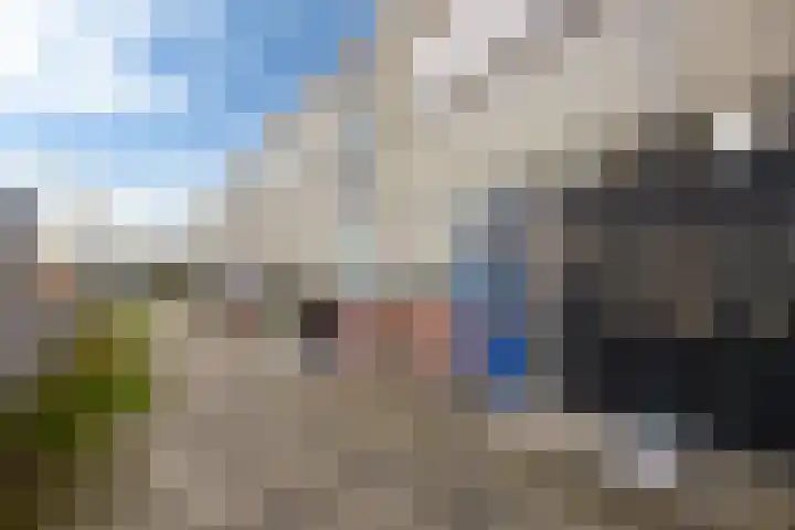 de Jokse 27 Leeuwarden thumbnail 6