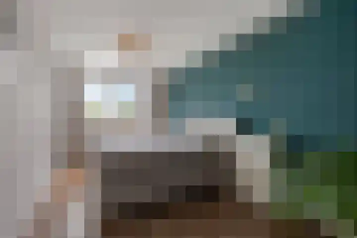 de Jokse 31 Leeuwarden thumbnail 21