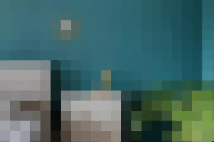 de Jokse 31 Leeuwarden thumbnail 22