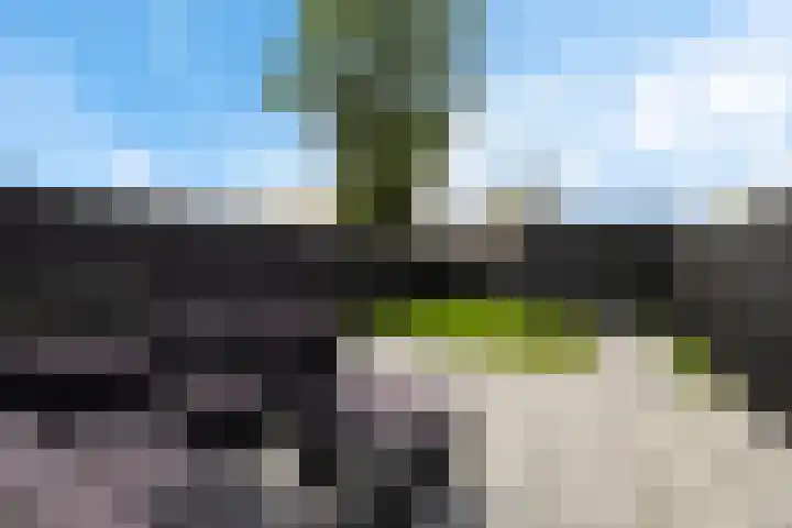 de Jokse 31 Leeuwarden thumbnail 33