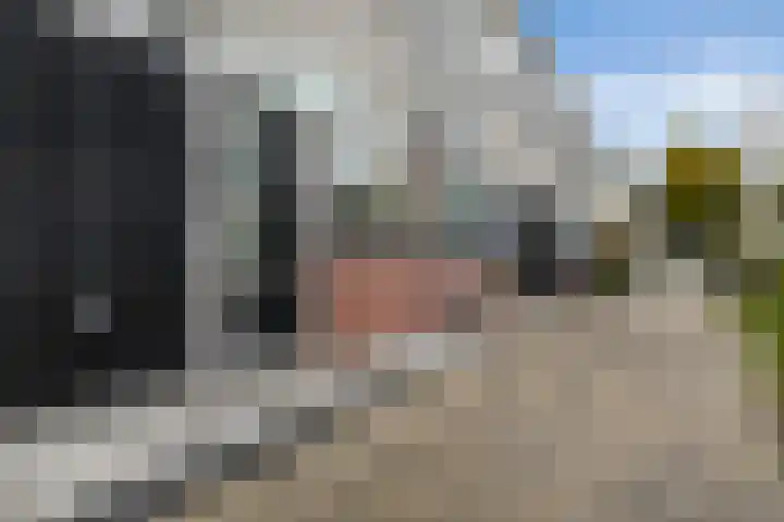 de Jokse 31 Leeuwarden thumbnail 5