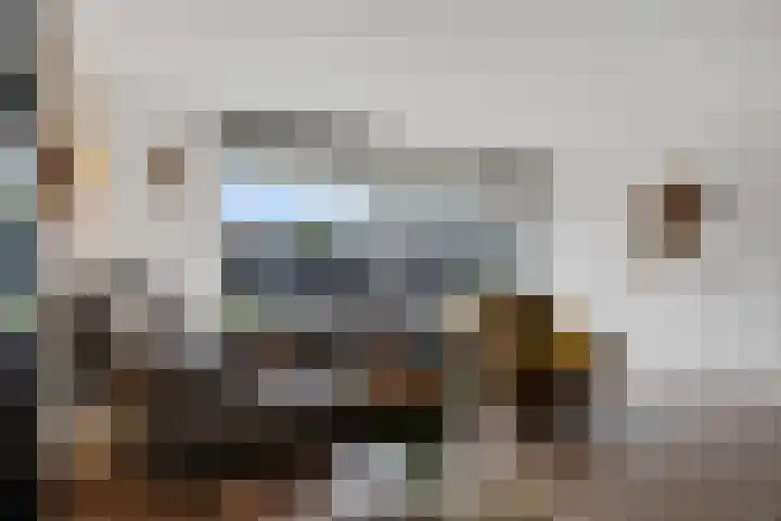 de Jokse 31 Leeuwarden thumbnail 7