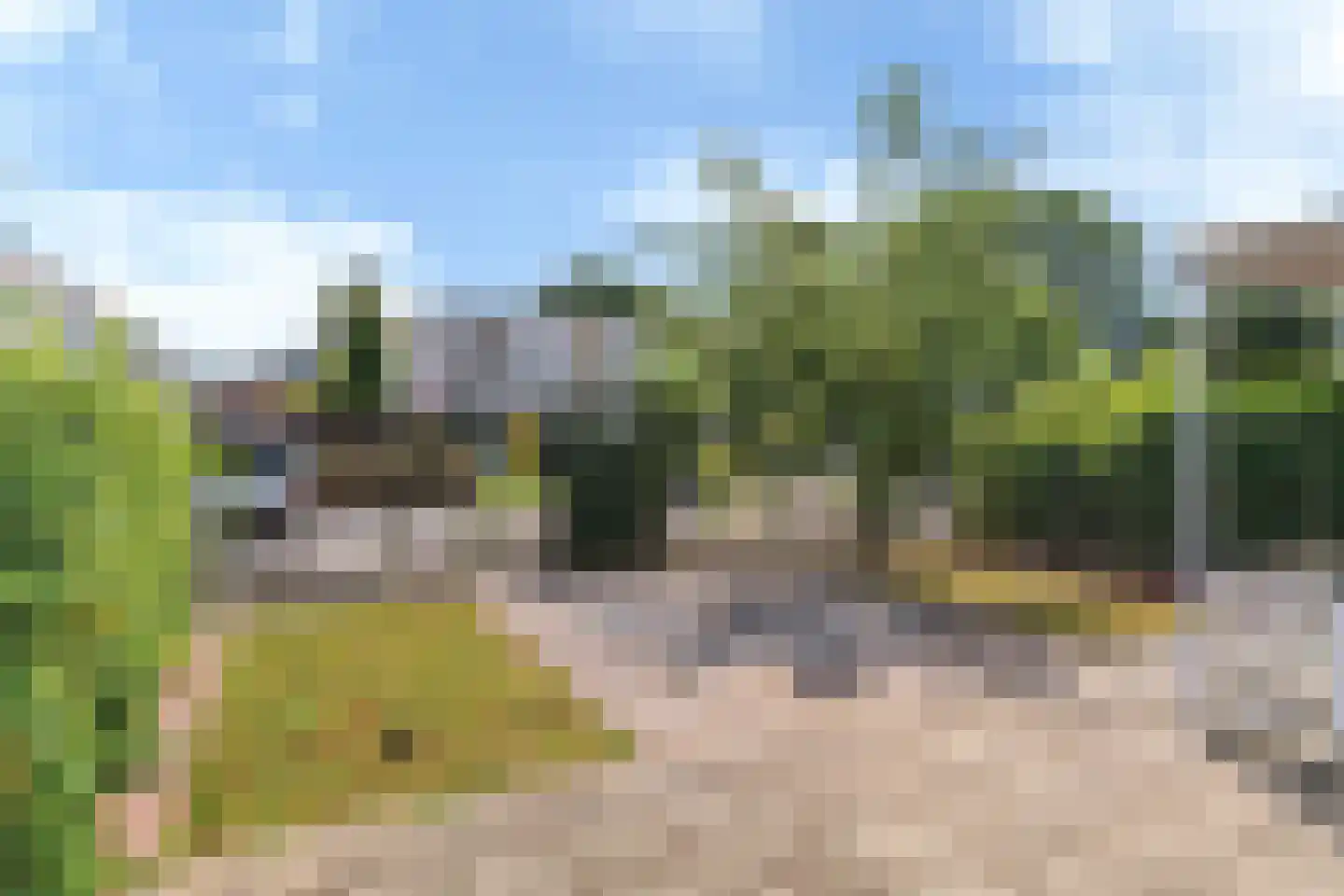 de Jokse 524 Leeuwarden thumbnail 17