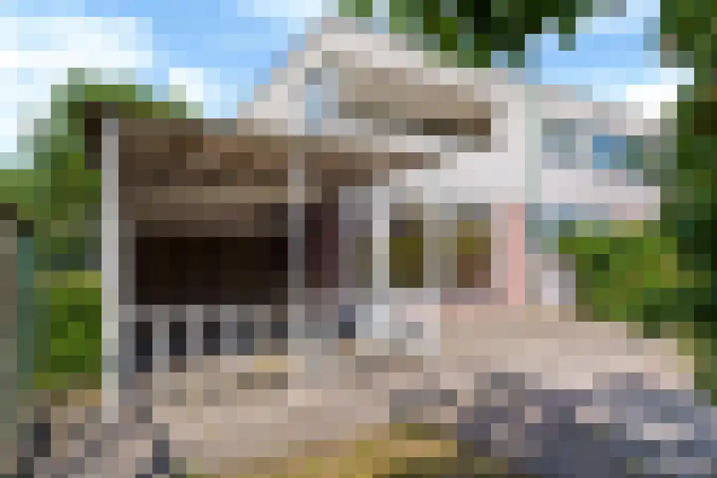de Jokse 524 Leeuwarden thumbnail 20